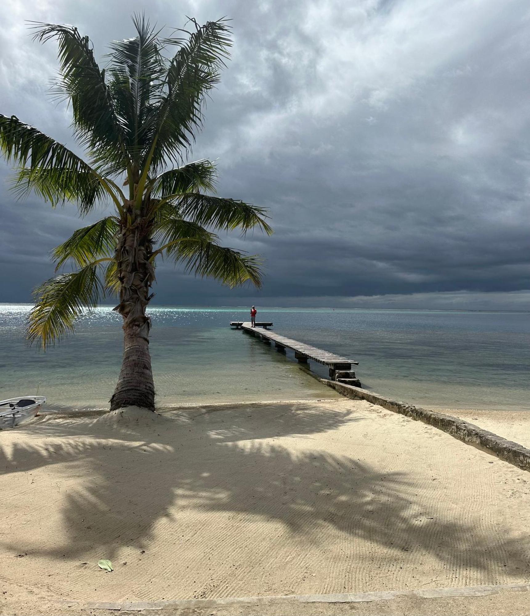 Вилла Chez Jay Moorea Beach House Махарепа Экстерьер фото